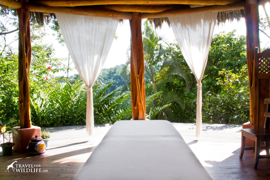 Spa room with costa rica rainforest view