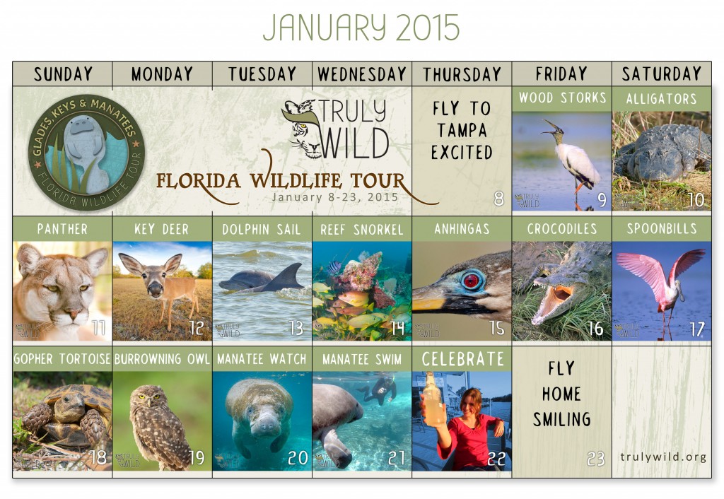 3000x2069xflorida-wildlife-tour-calendar.jpg.pagespeed.ic.iDcUDUX0Dl