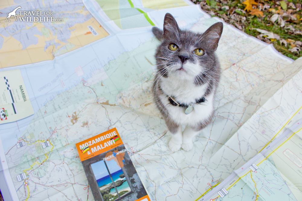 Scamper on Botswana map