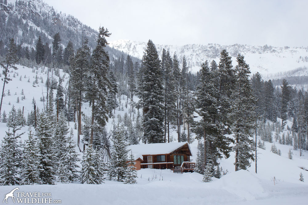 One of the cozy Yellowstone cabins