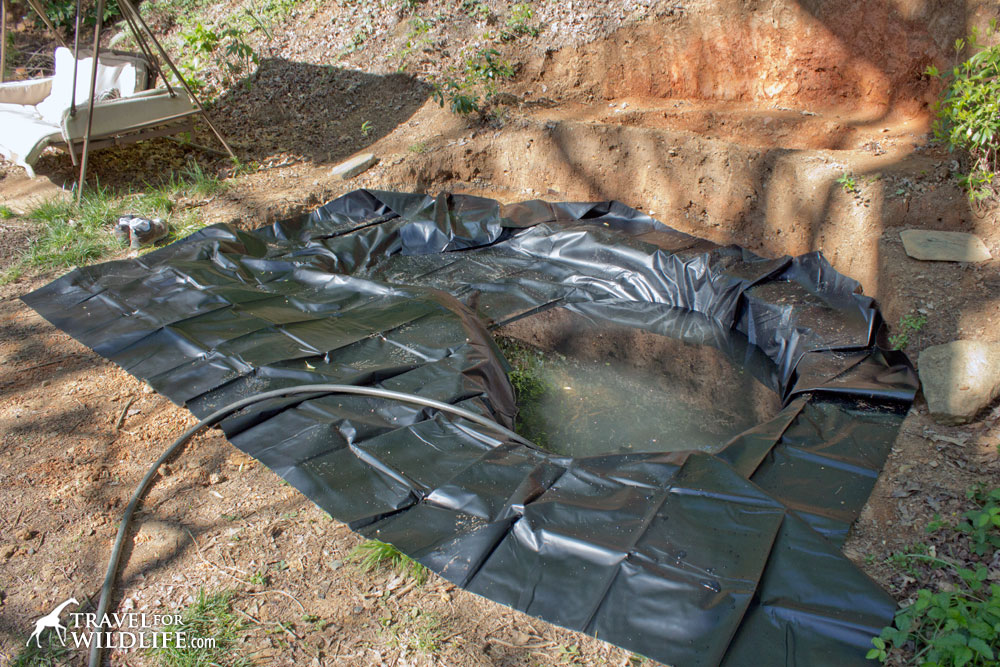 Pond liner in place