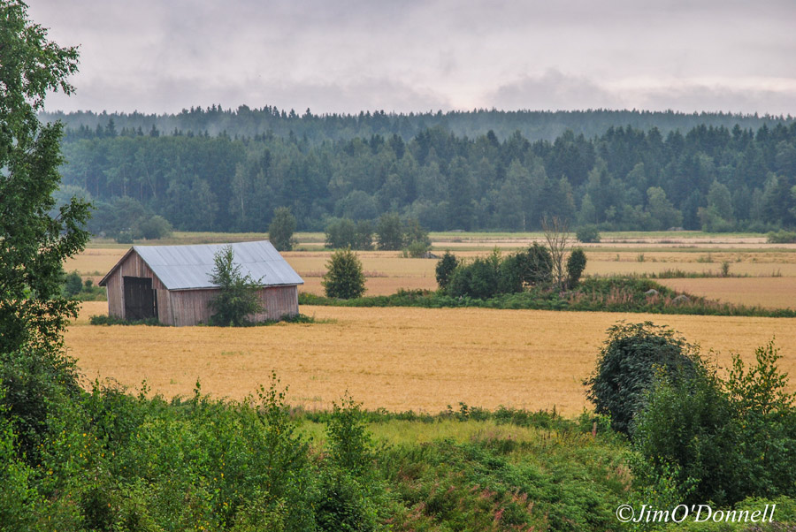 An old barn sits on a crop field by the forest