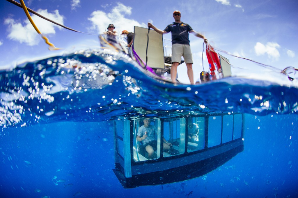 View sharks underwater and keep dry at the same time.