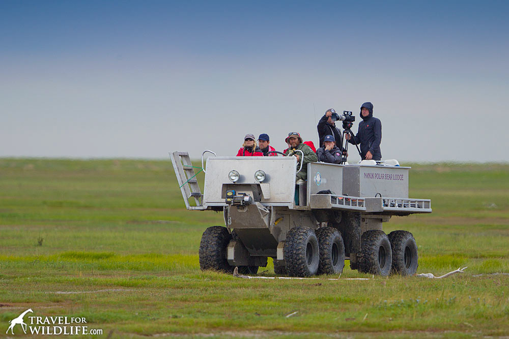 A rhino, the open-top vehicle