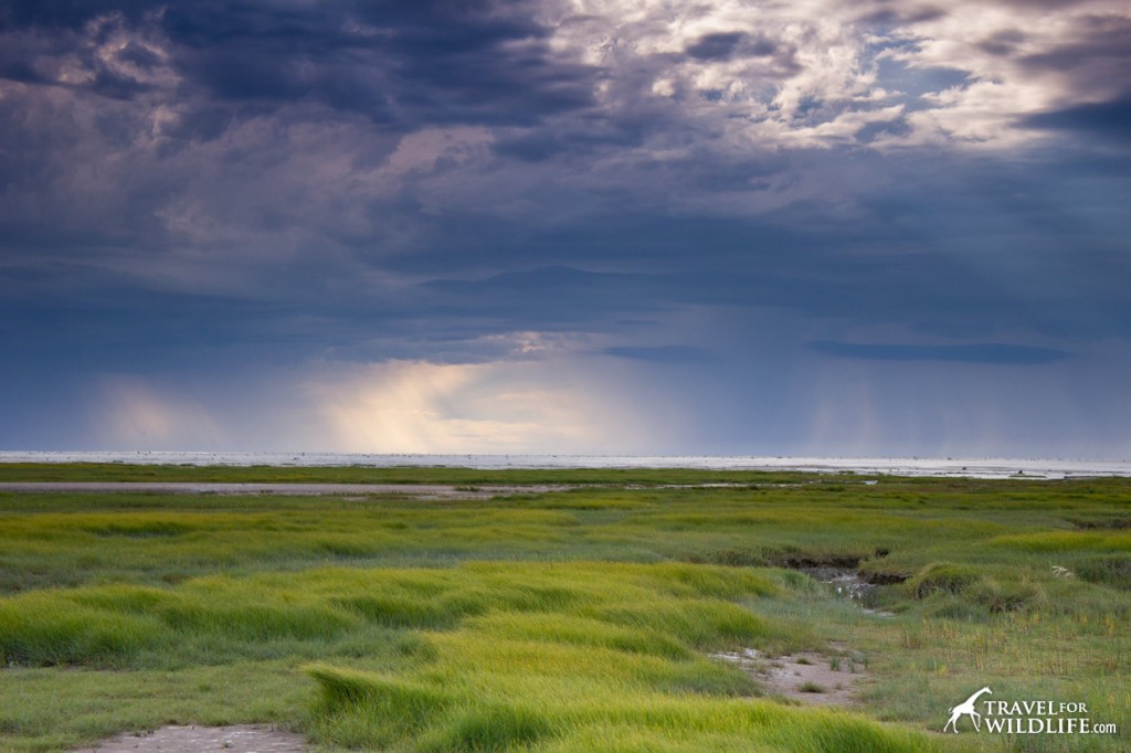 Storm approaching