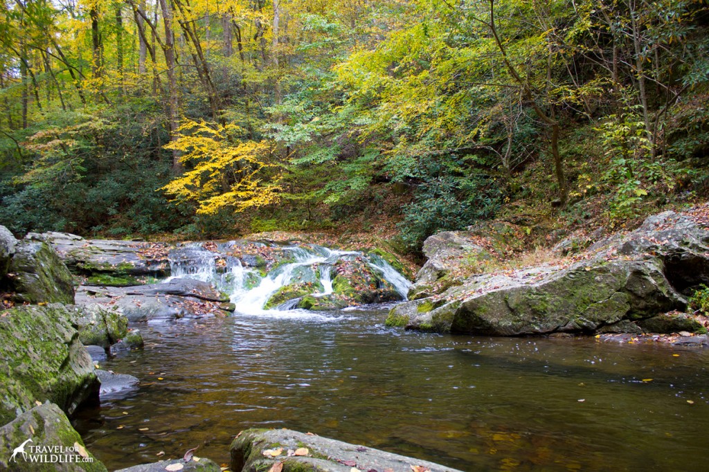 Help keep our rivers, lakes, and oceans healthy. Say no to microbeads!