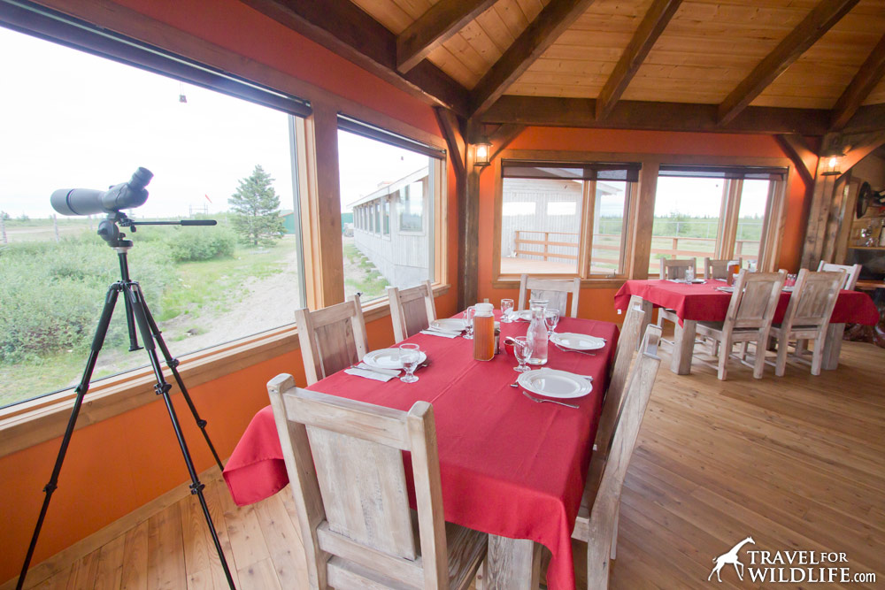 Enjoy delicious local foods served around a cozy table with tundra views at Nanuk!