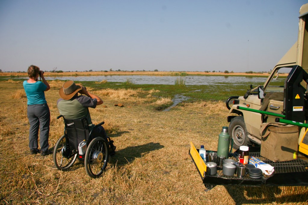 Explore the wilderness on an accessible safari