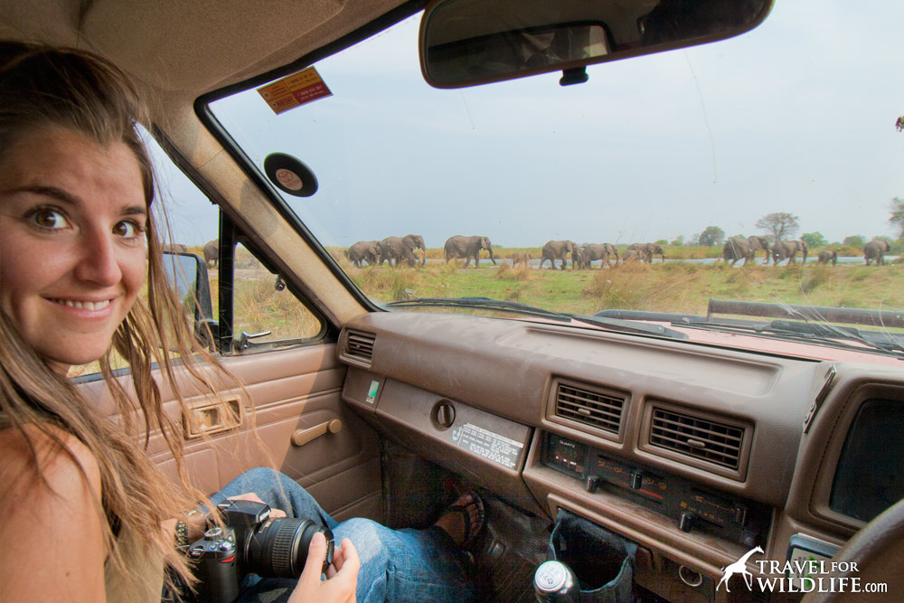watching elephants from the car in Namibia during a self drive safari