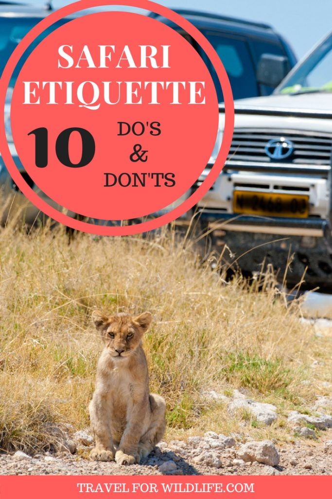 Going on a self drive safari is one of the best ways to do go on an African Safari. But before you go, make sure you know how to deal with some situations. It will help you have the best safari you've ever had!