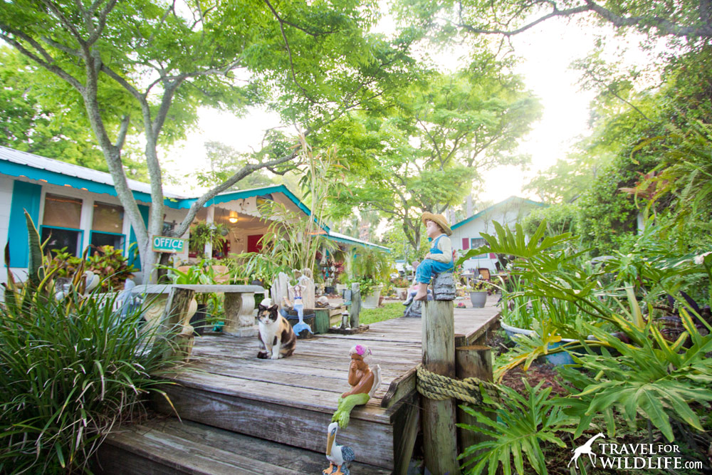 The courtyard of the Faraway Inn, Cedar Key, Florida