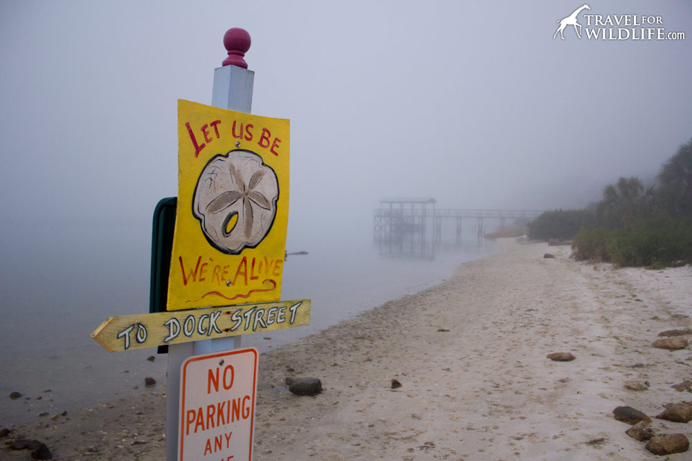 Sign on the beach at the Faraway Inn "Let us Be. We're Alive!" Cedar Key, Florida