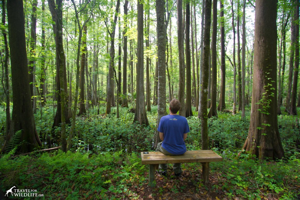 Lower Suwannee National Wildlife Refuge