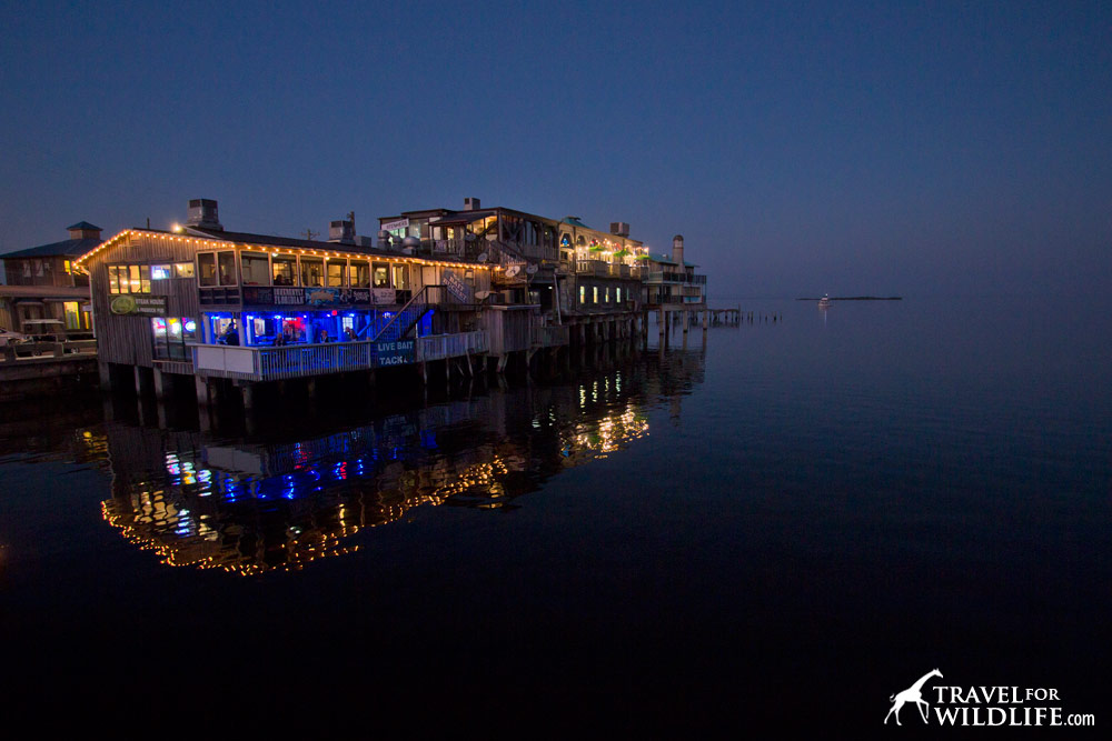 Waterfront dining at sunset on the dock in Cedar Key
