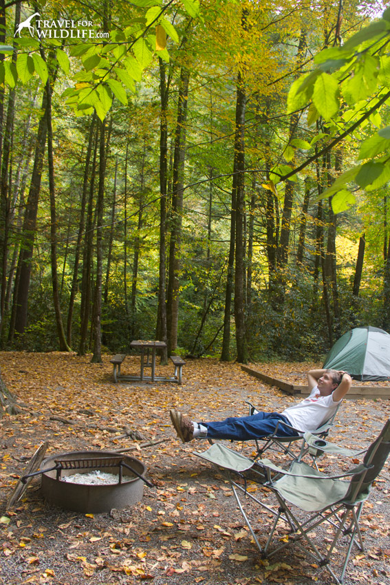 Pitch a tent in the Smokies