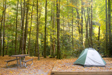 Campsite at Cataloochee, Smoky Mountains