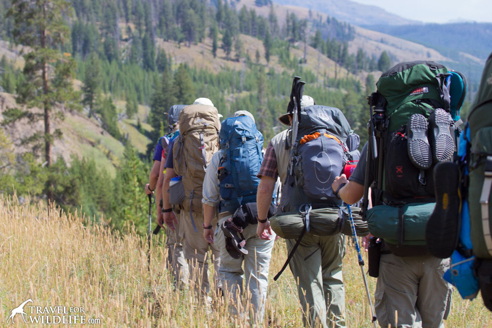 A group of hikers in Yellowstone National Park, Wyoming