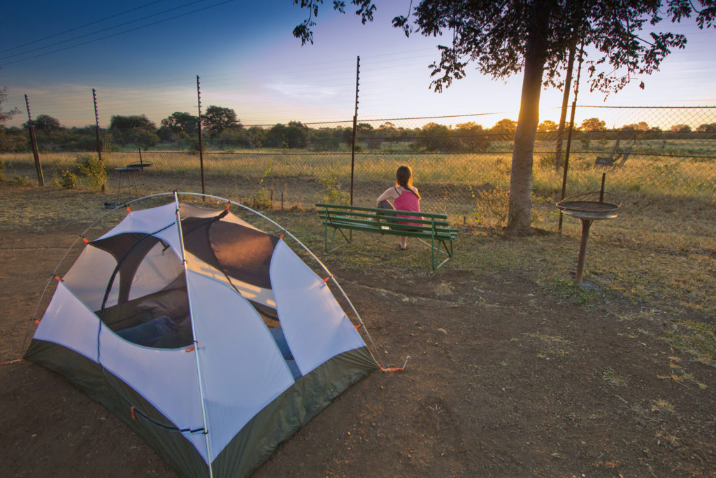 Kruger National Park, South Africa. © Hal Brindley