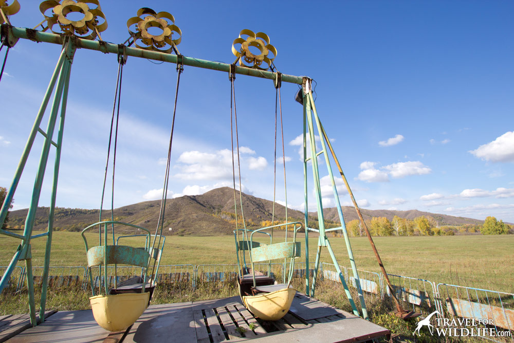 Remains of a soviet era resort. I loved these swings!