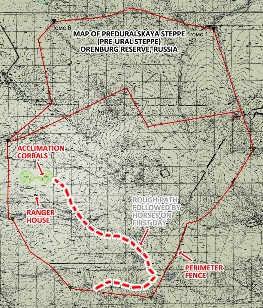 Map of Preduralskaya Steppe, Orenburg Reserve, Russia, and the movements of Przewalski's Horses