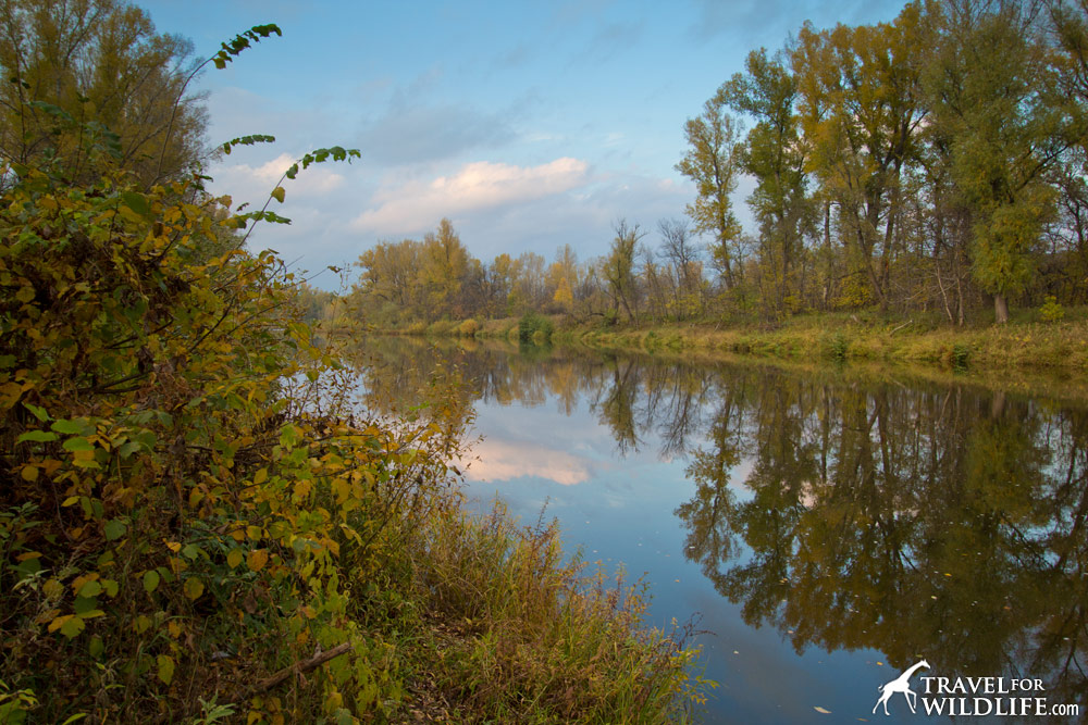 Banya (sauna) next to Sakmara River at Shaytan-Tau Reserve, Orenburg, Russia