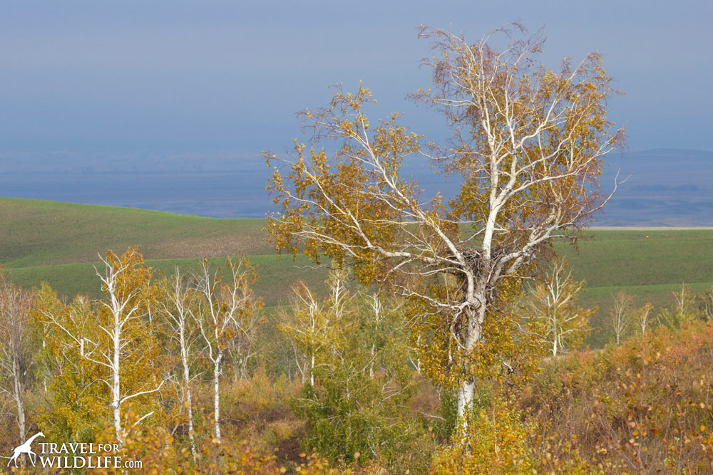 Burtinskaya Steppe Reserve, Orenburg, Russia