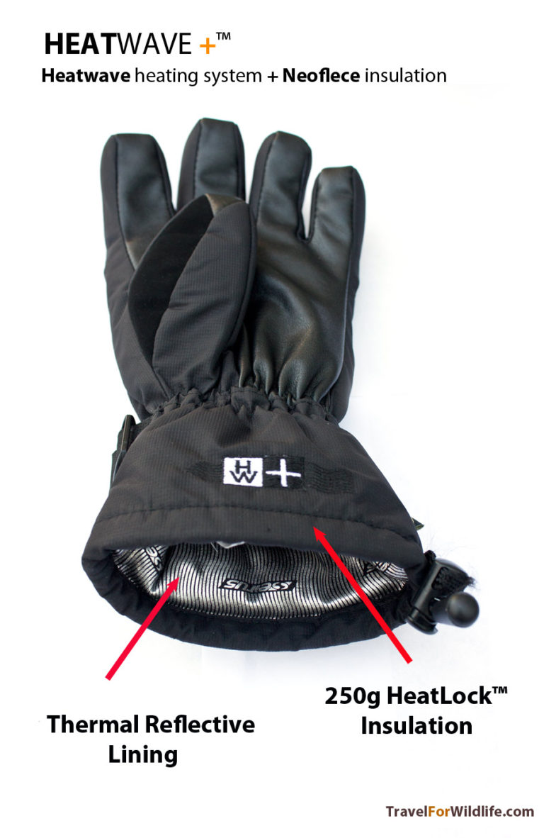 Best Extreme Cold Weather Gloves for Adventurers Travel For Wildlife