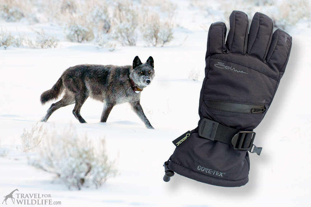 cold weather gloves