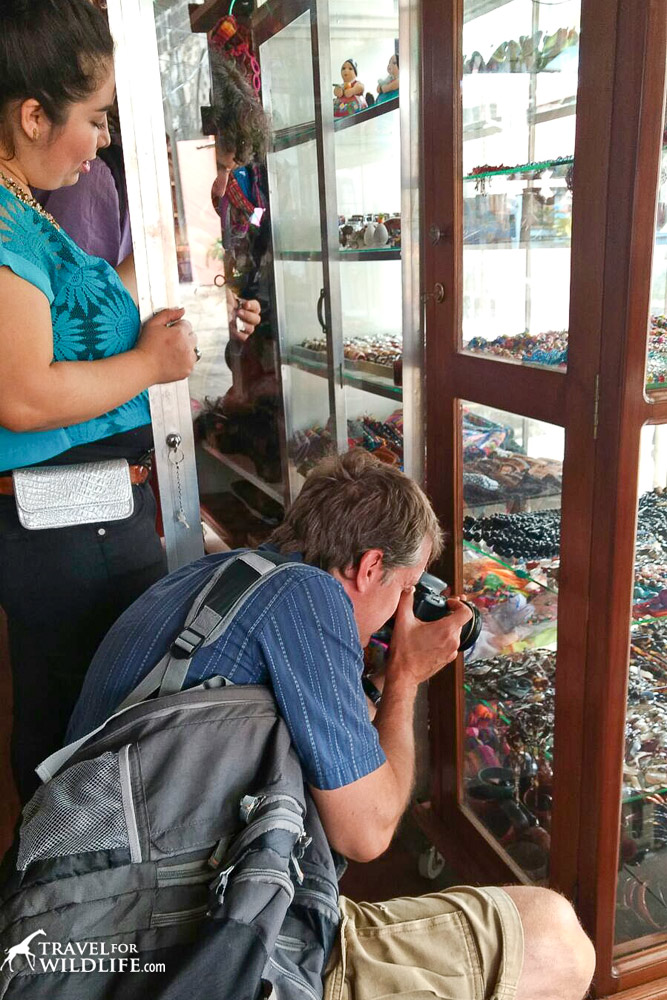 Hal photographing piles of sea turtle jewelry