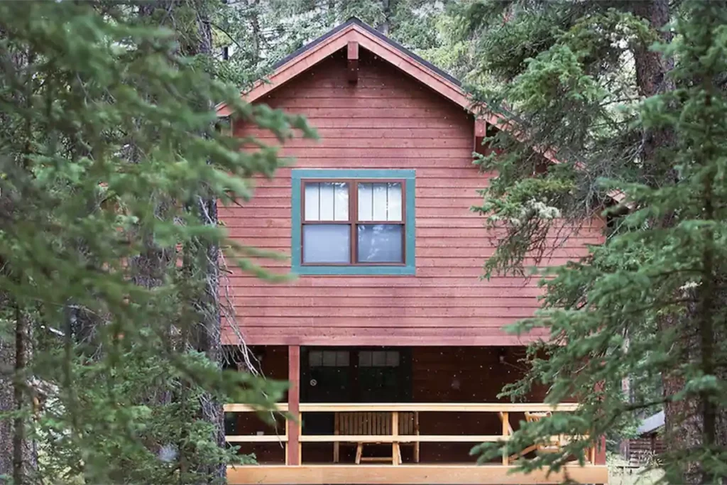 wooden cabin in the forest