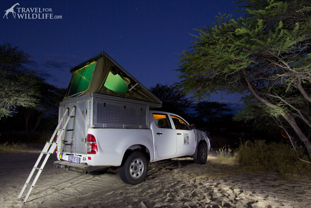 kalahari safari, mabuasehube, botswana