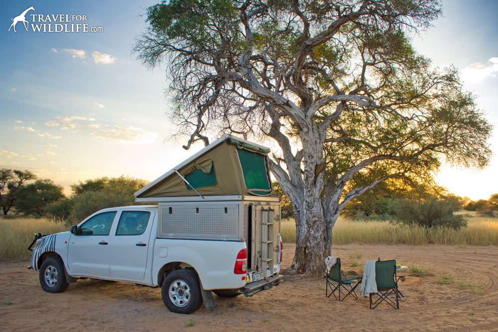 camper at Kgalagadi