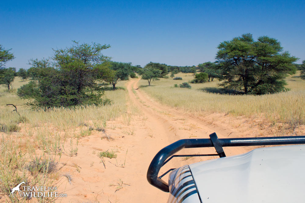 road in mabuasehube