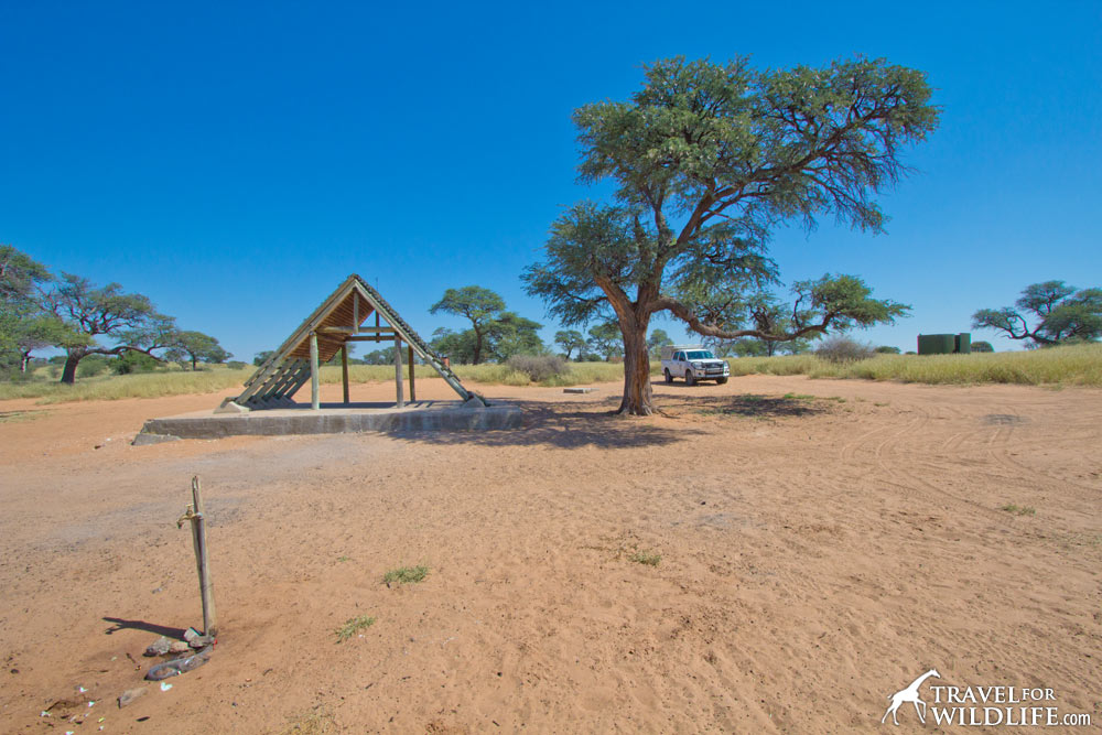 Mpaya site 2, Mabuasehube camping in Botswana