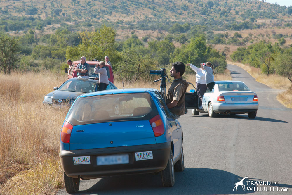 Avoid the crowds by avoiding Kruger National Park camps in the south during your Kruger self drive safari