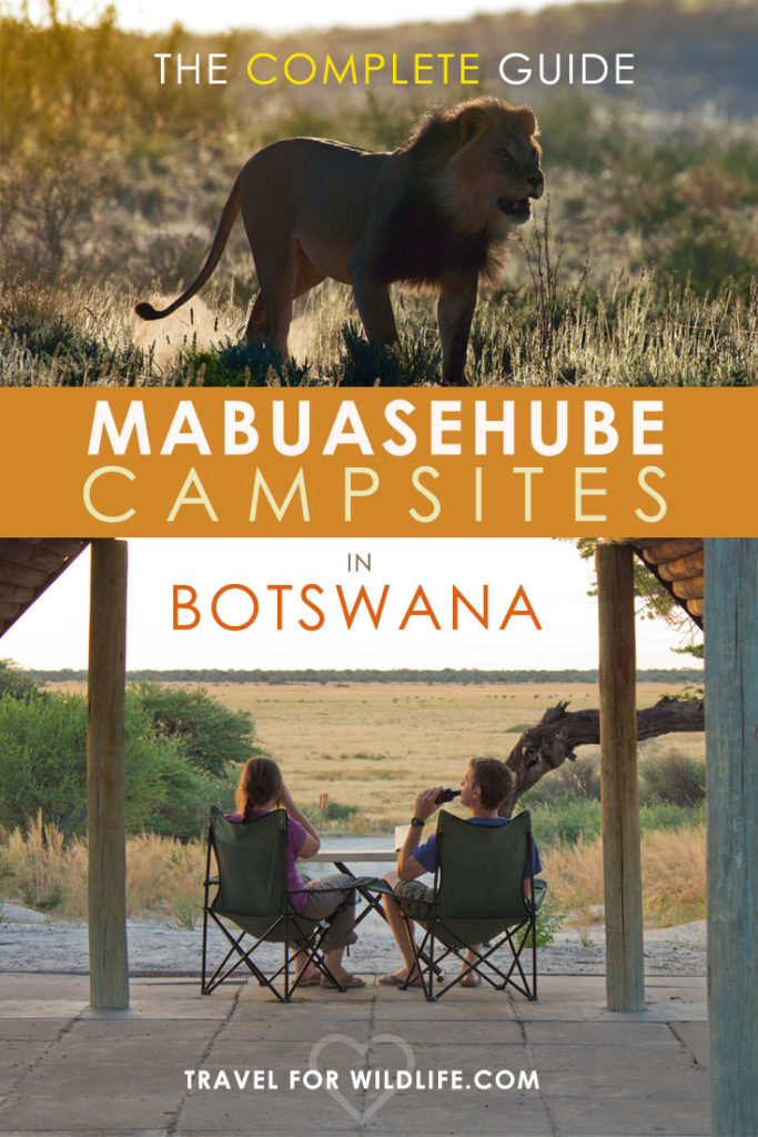 There's nothing quite like Kalahari camping in Botswana, and Mabuasehube is the place to do it. This is the only complete guide to the Mabuasehube campsites in the Kgalagadi Transfrontier Park