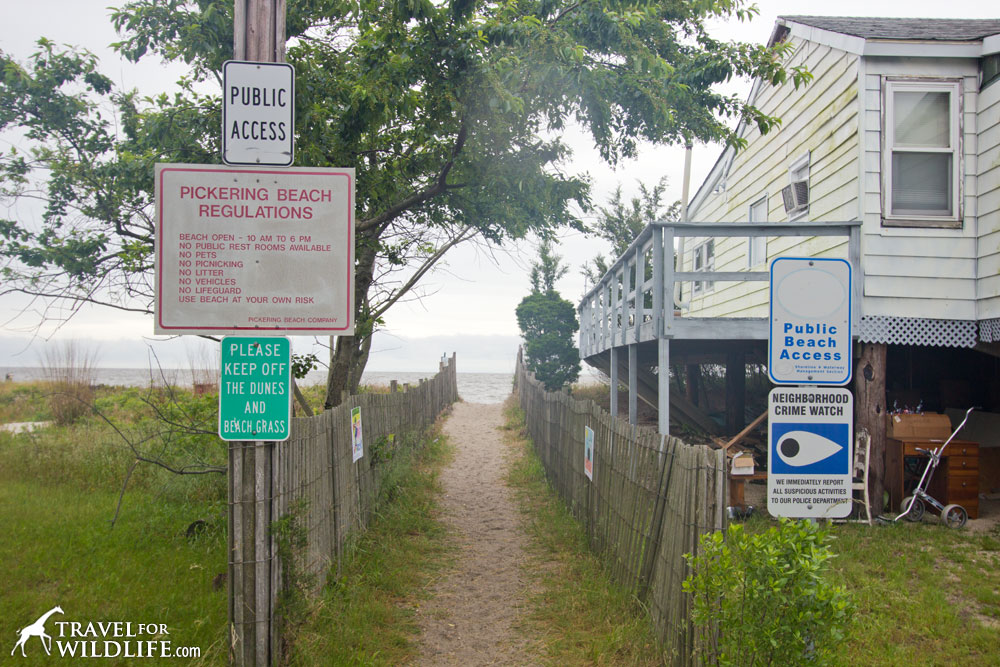 Pickering Beach public beach access hours