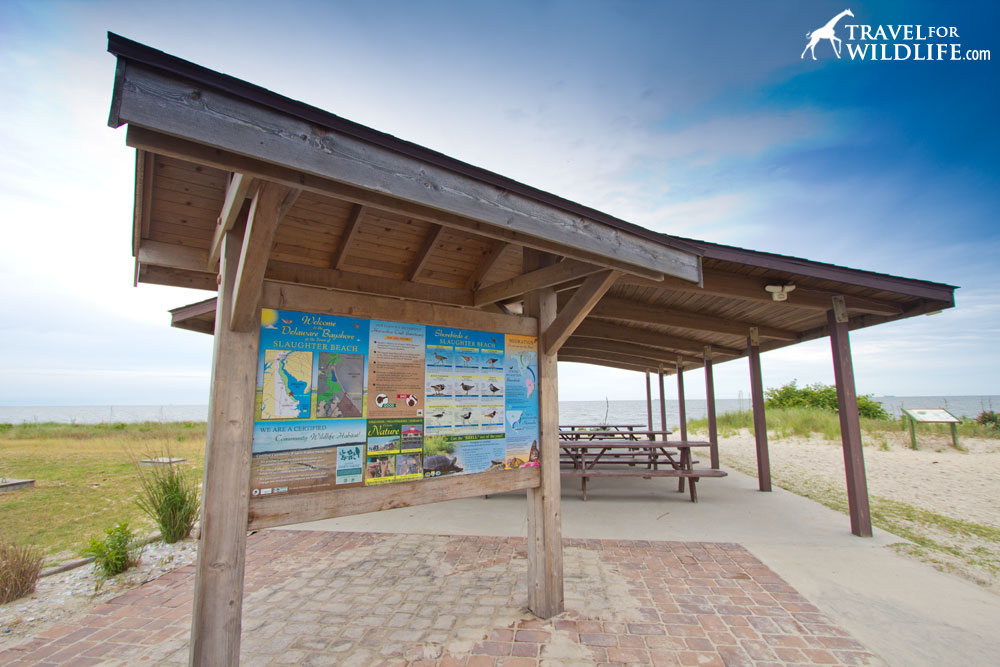 public parking and beach access, Slaughter Beach Pavilion, Delaware