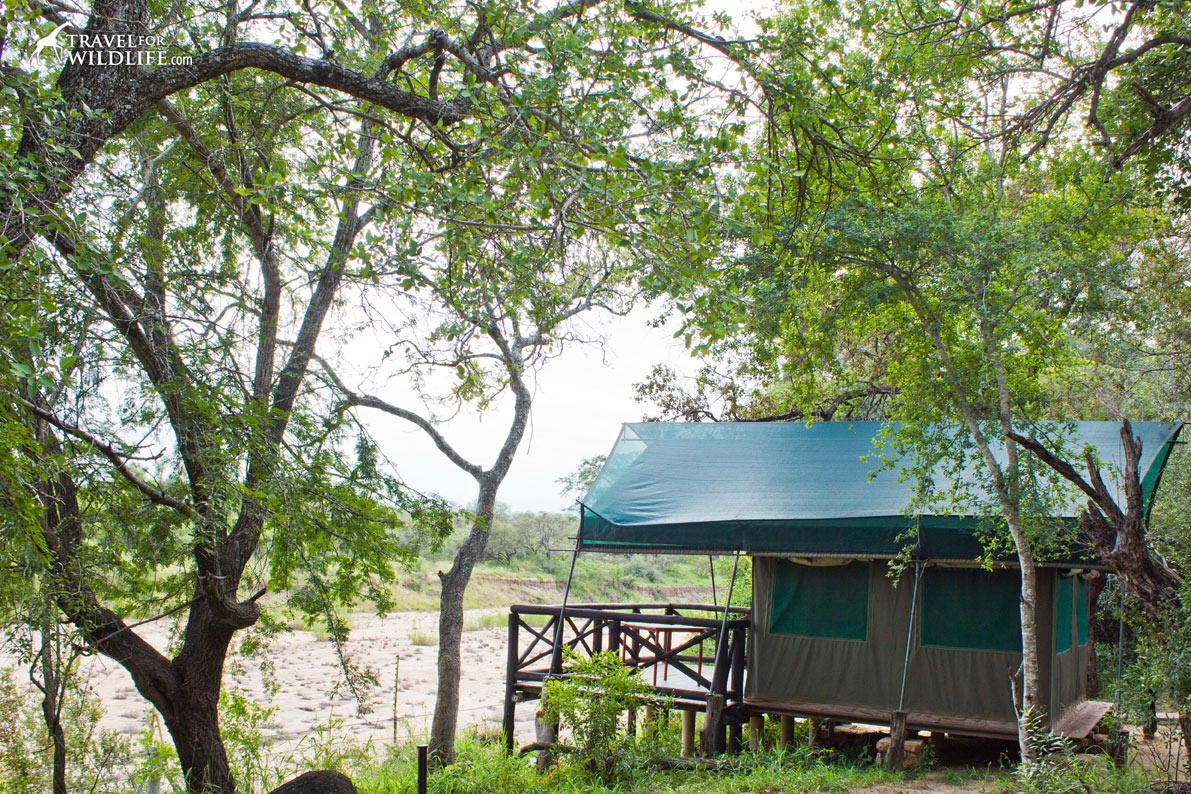 Tamboti Tented Camp is one the satellite Kruger National Park camps.