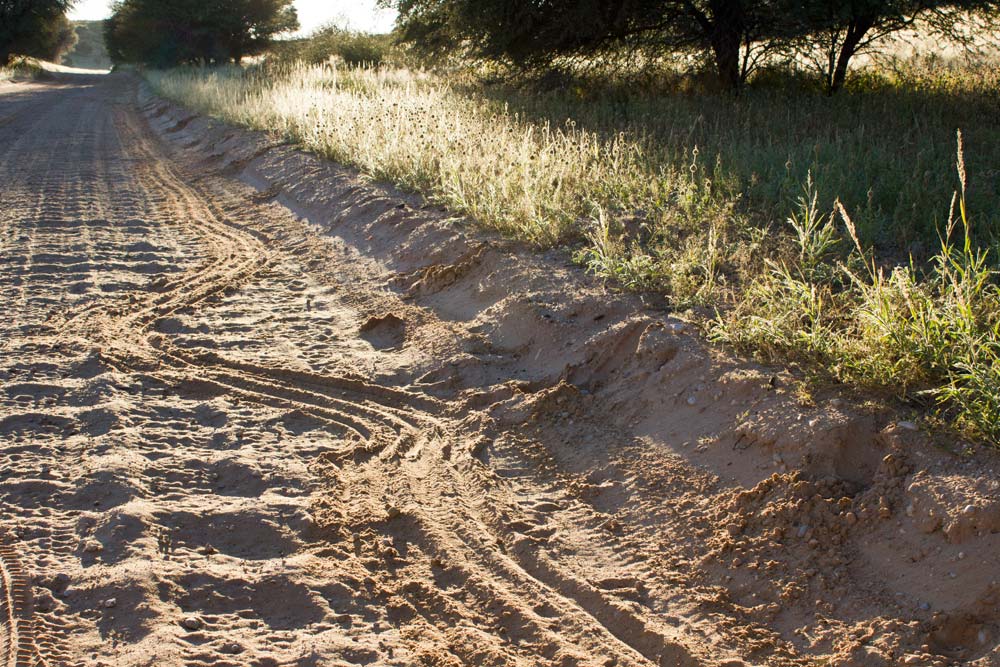 Dragging marks on a road in the Kalahari