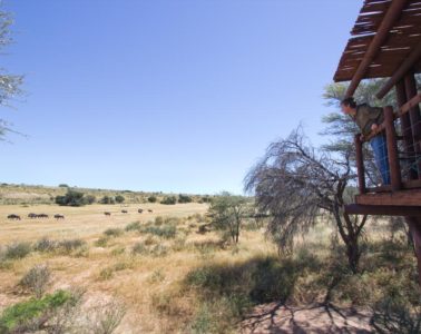 Wilderness camps in the Kalahari is the way to go