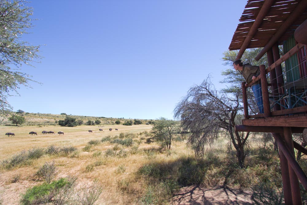 Wilderness camps in the Kalahari is the way to go