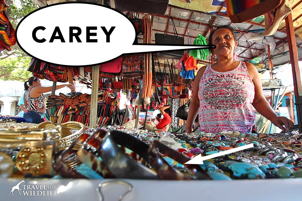 Carey means hawksbill sea turtle in Spanish