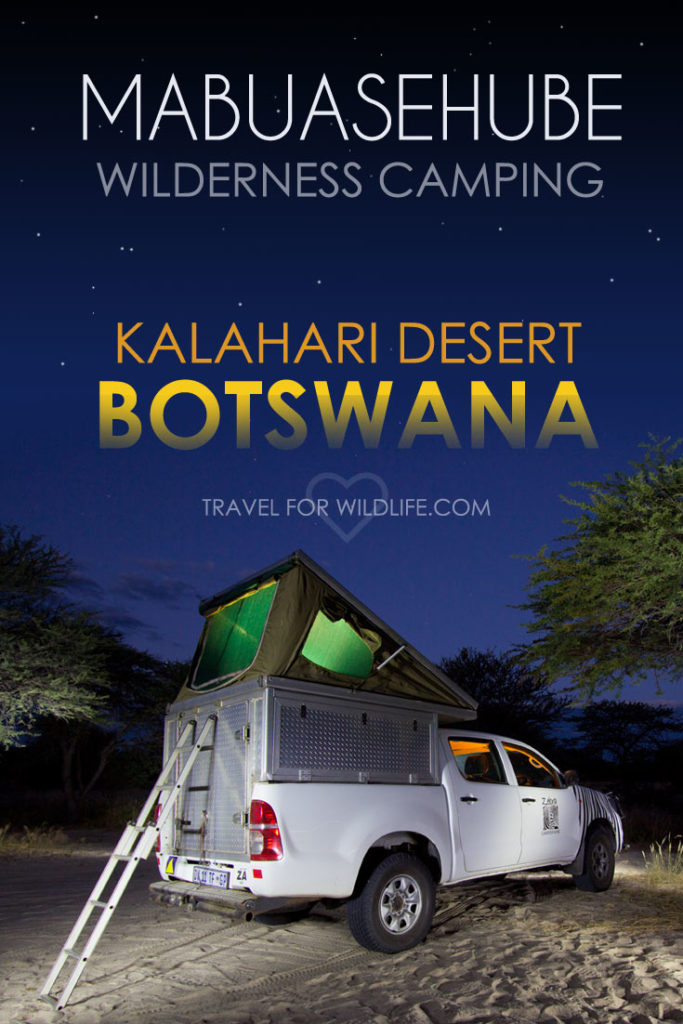 The ultimate guide to wilderness camping in the Mabuasehube area of the Kgalagadi Transfrontier Park in Botswana.