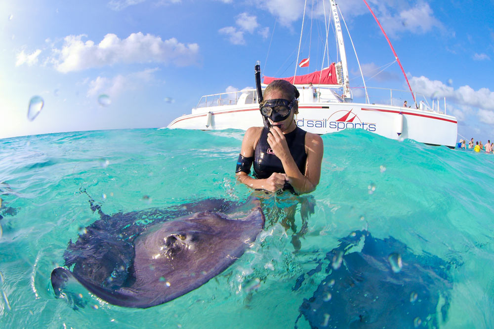 Swim with stingrays