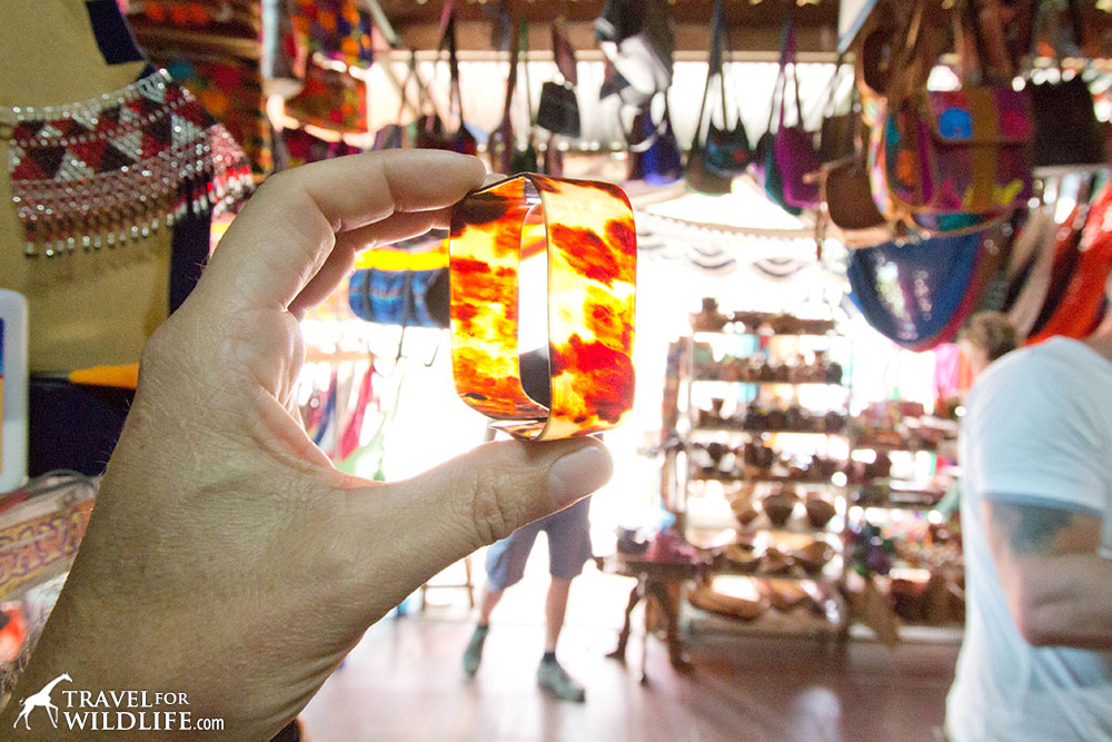 How to identify real turtle shell: it's transparent