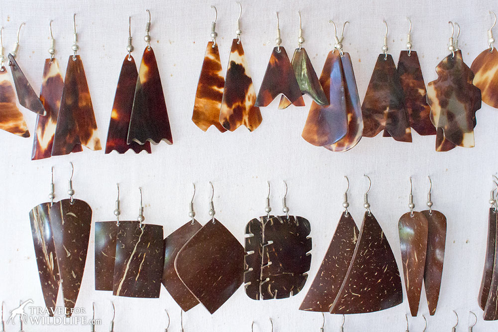 the difference between sea turtle shell and coconut earrings in Nicaragua