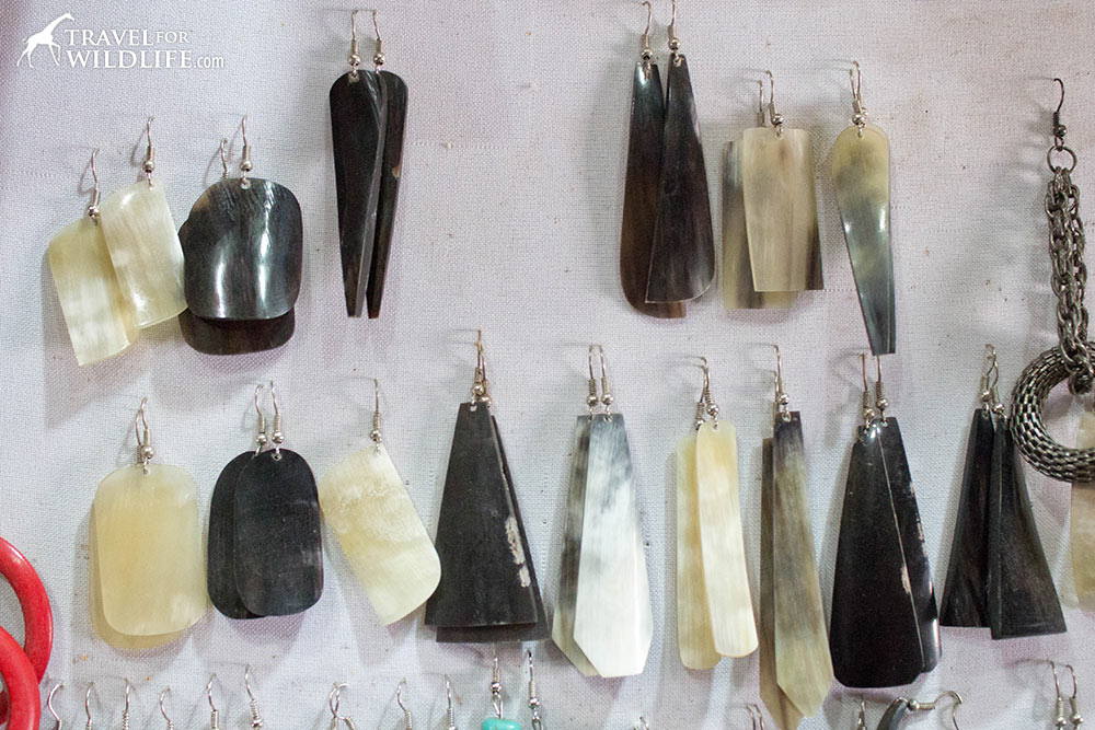 Cow horn earrings in Nicaragua