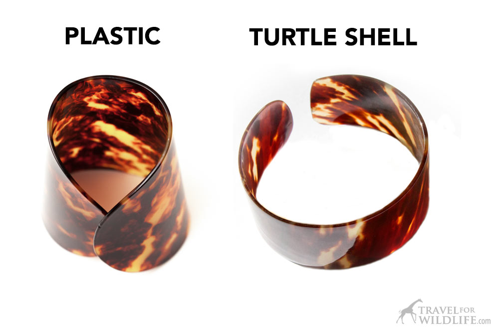 plastic vs tortoiseshell, how to tell real turtle shell from plastic