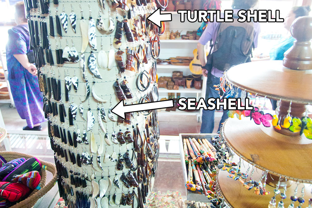 seashell, turtle shell, and black coral earrings for sale in Nicaragua